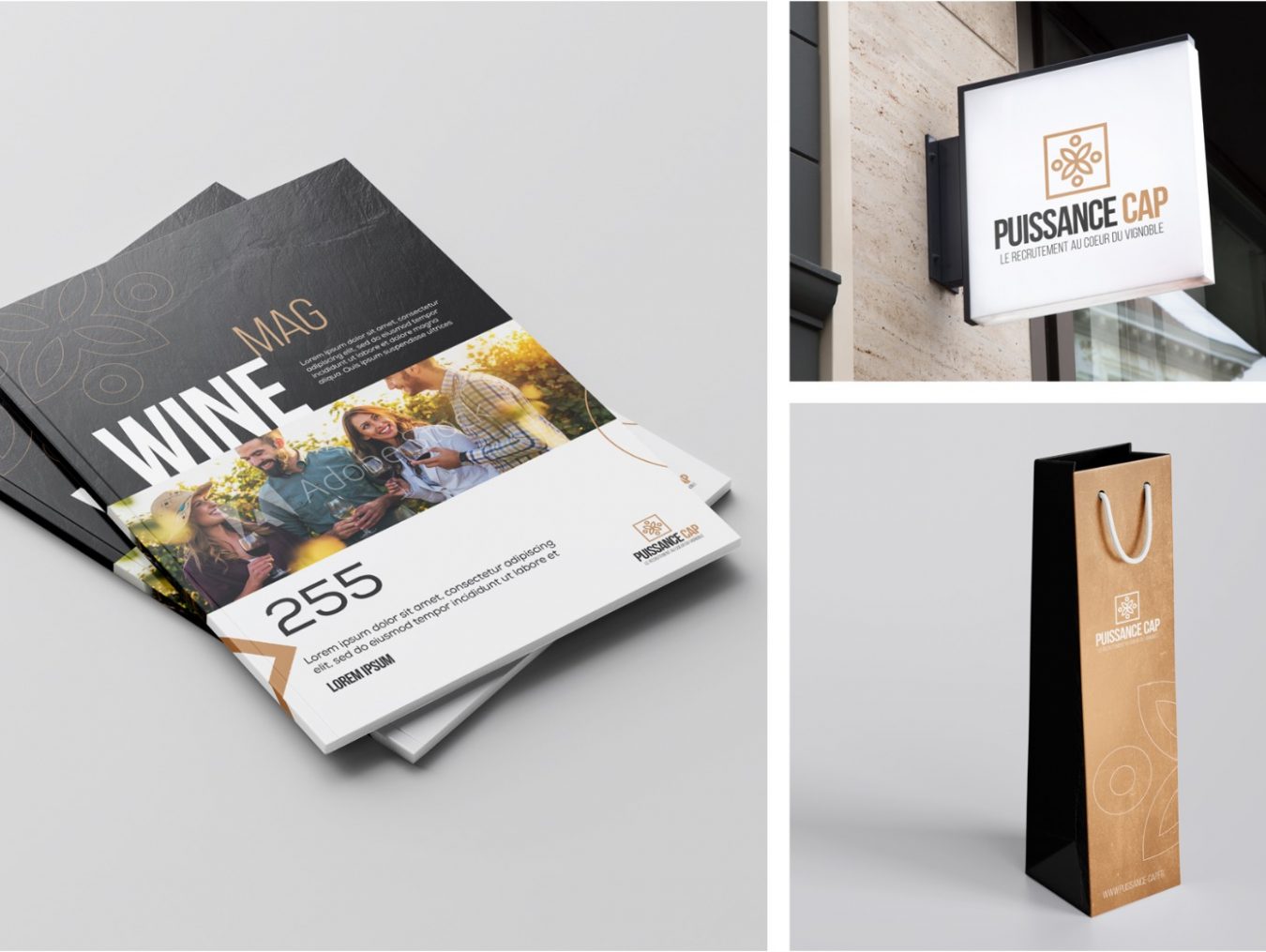 Magazine et signalétique puissance CAP–agence communication Nîmes