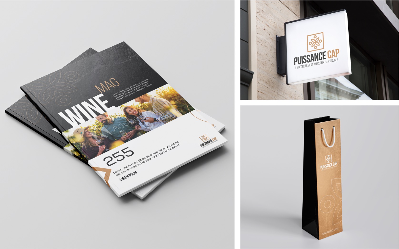 Magazine et signalétique puissance CAP–agence communication Nîmes