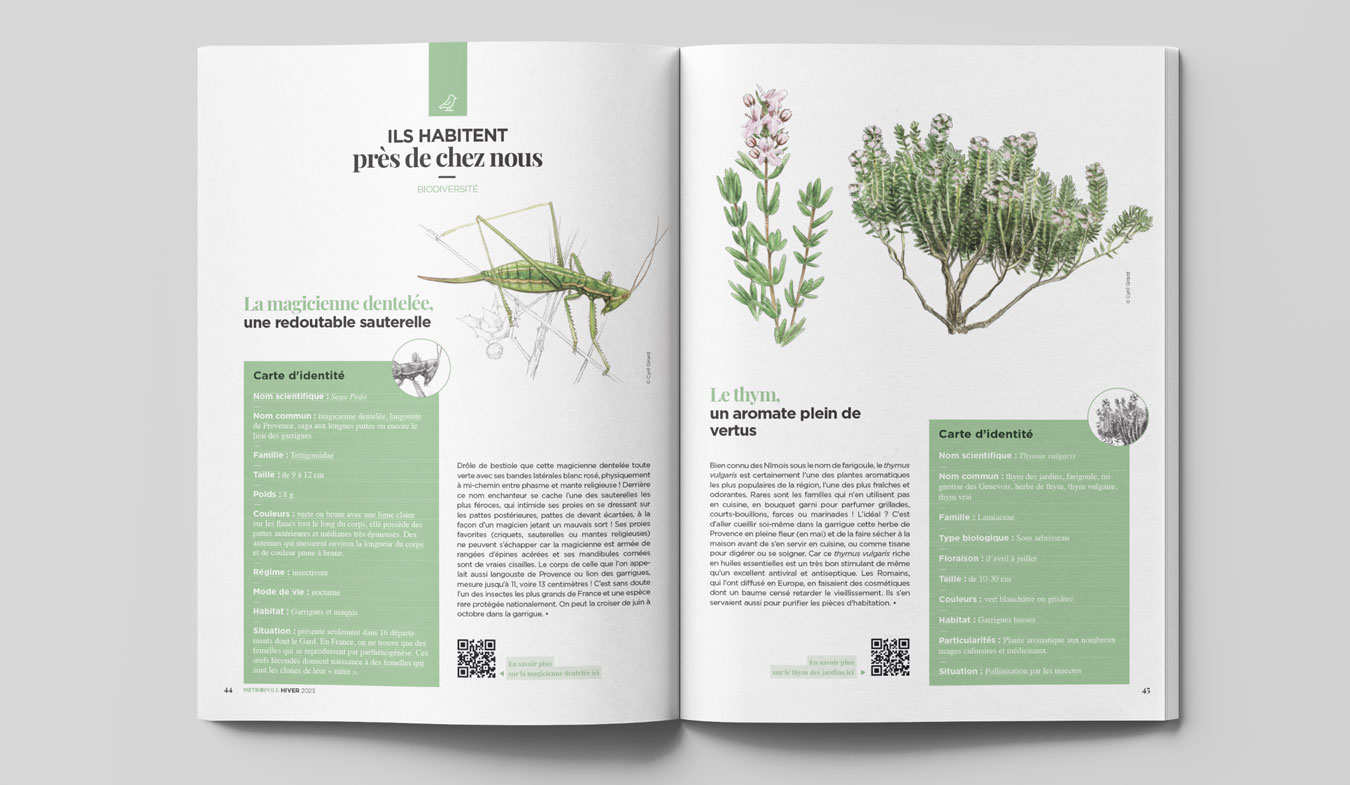 magazine Nîmes métropole 9 - Agence de communication Nîmes