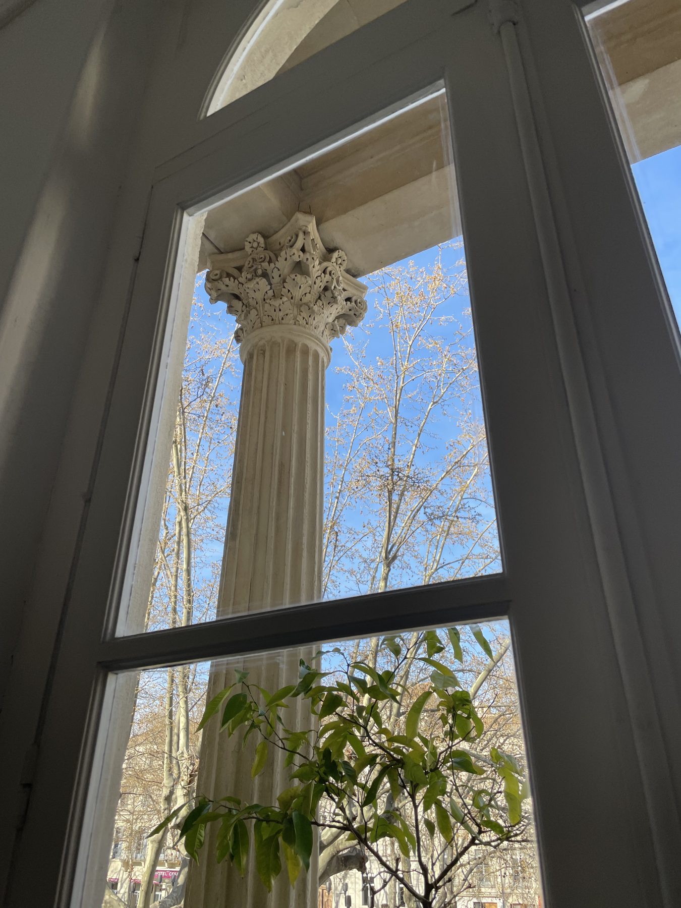 Colonne corinthienne immeubles les Fleurs, Agence de communication nimes