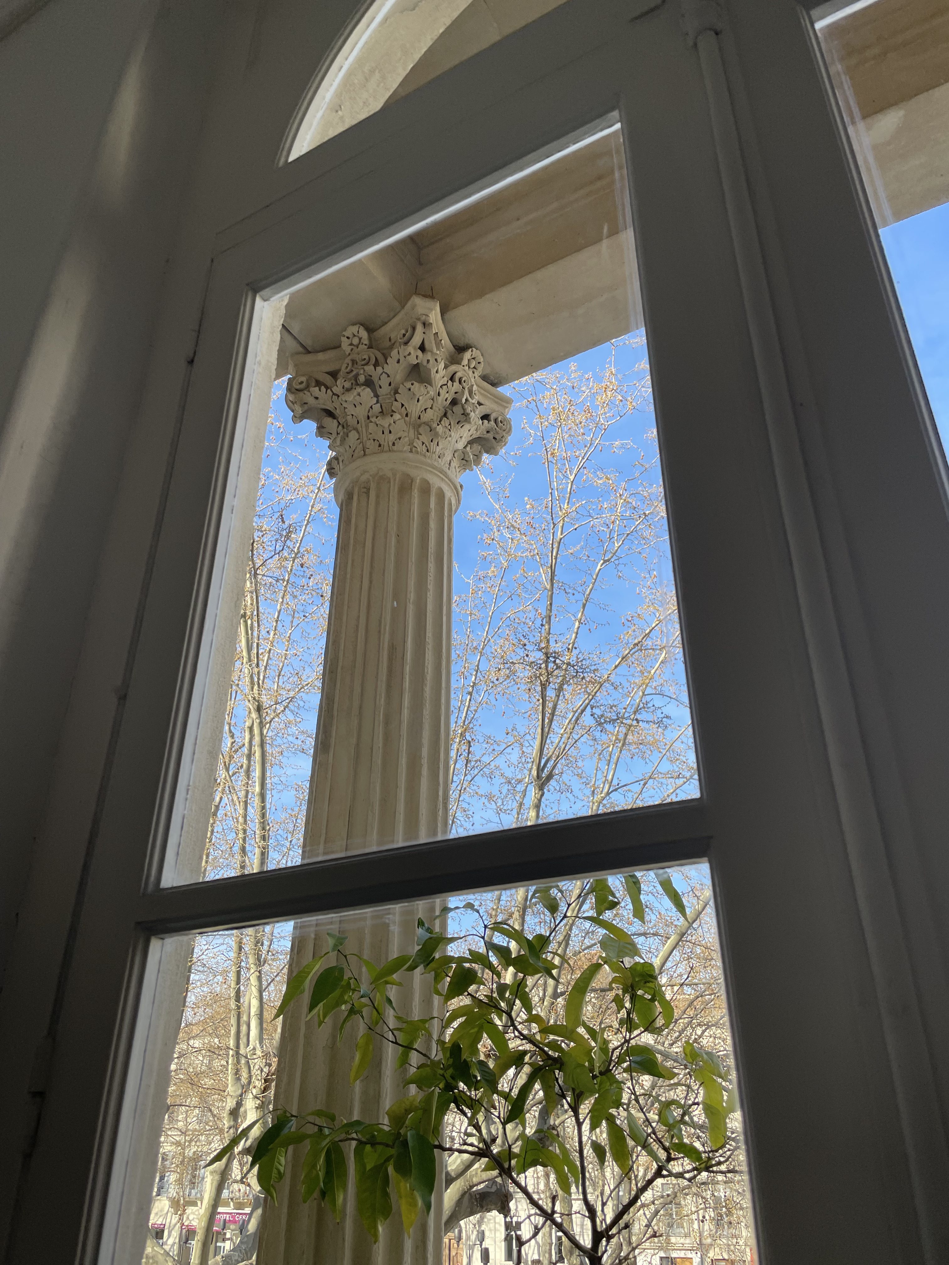 Colonne corinthienne immeubles les Fleurs, Agence de communication nimes