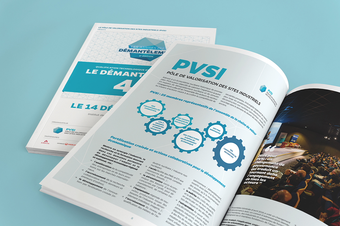 PVSI brochure4