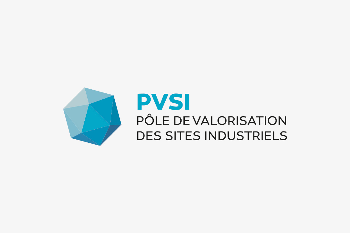 PVSI logo